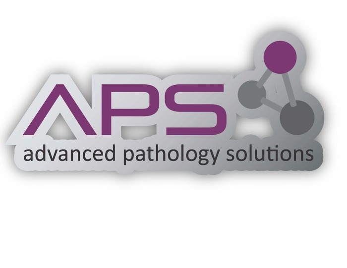 Aps Logo Silver